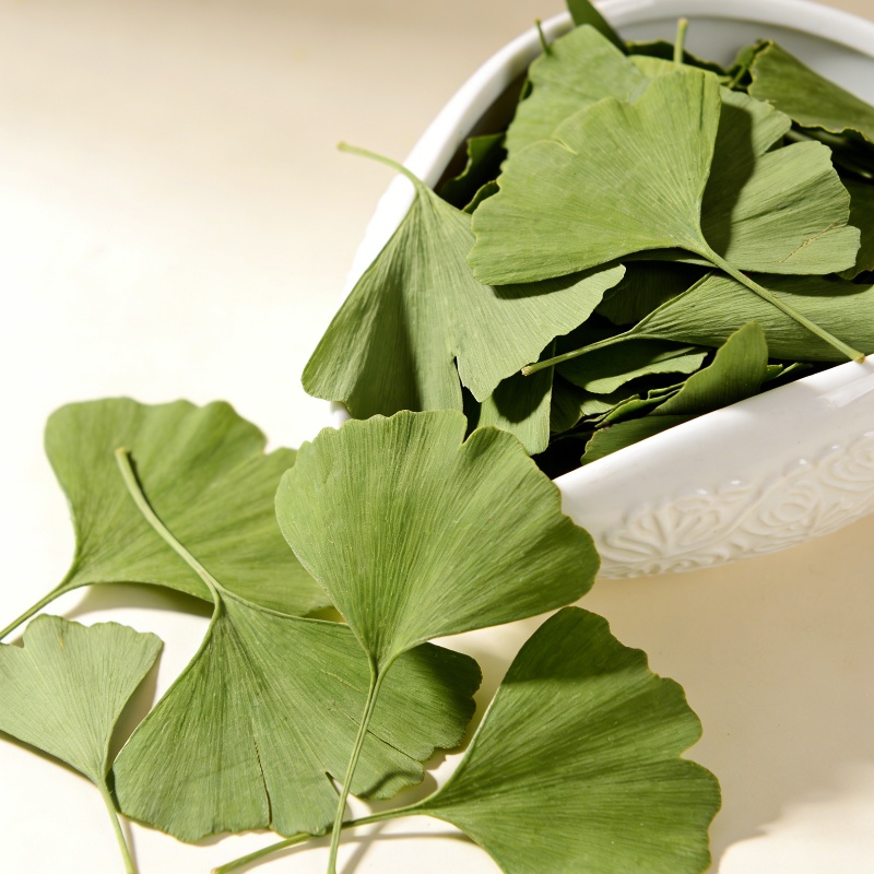 Quality Ginkgo Biloba Dried Le - Quality Home Fragrance review and price